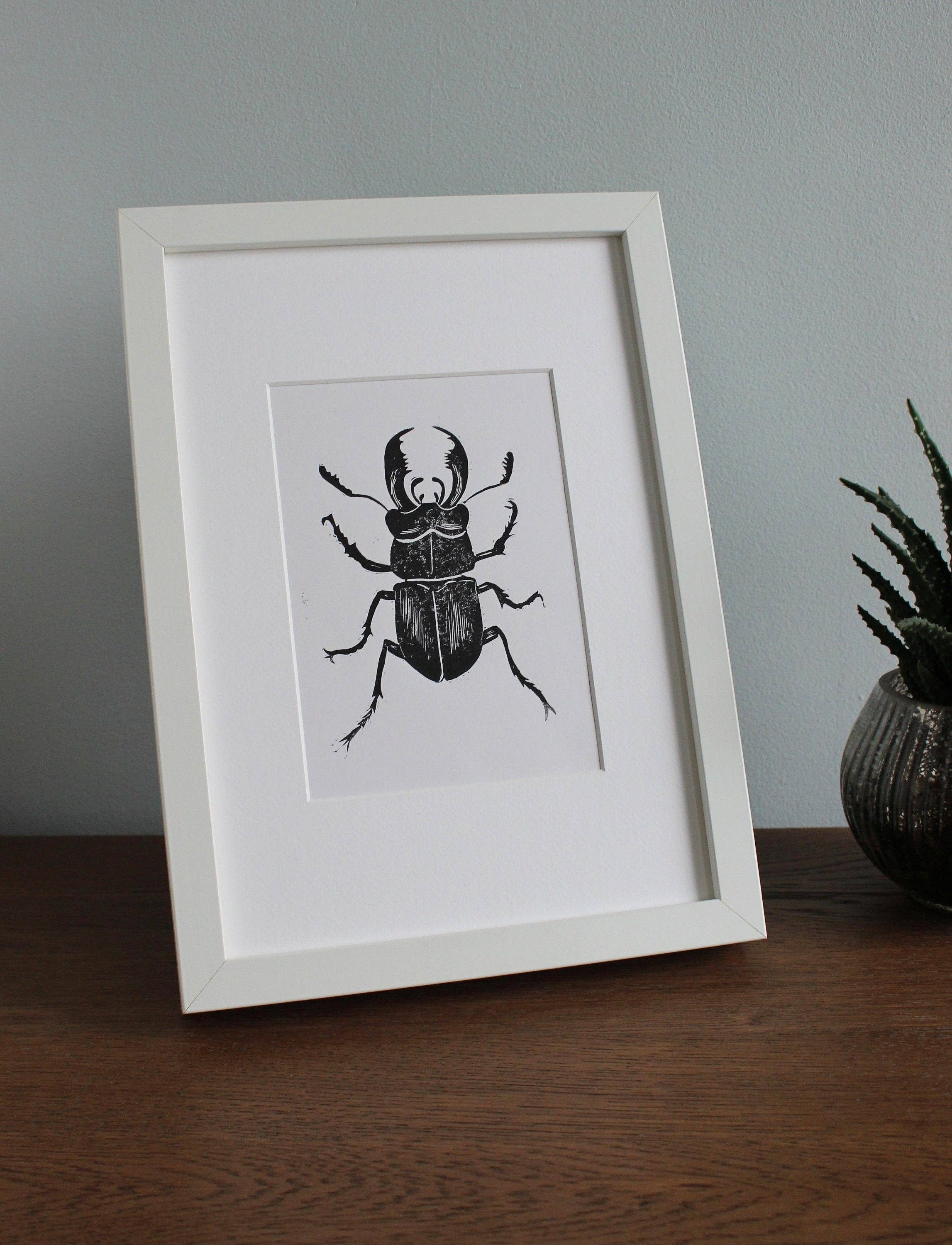 Jackdaw and Bear - Wholesale Art print - Stag Beetle Lino hand printed insect linocut print7