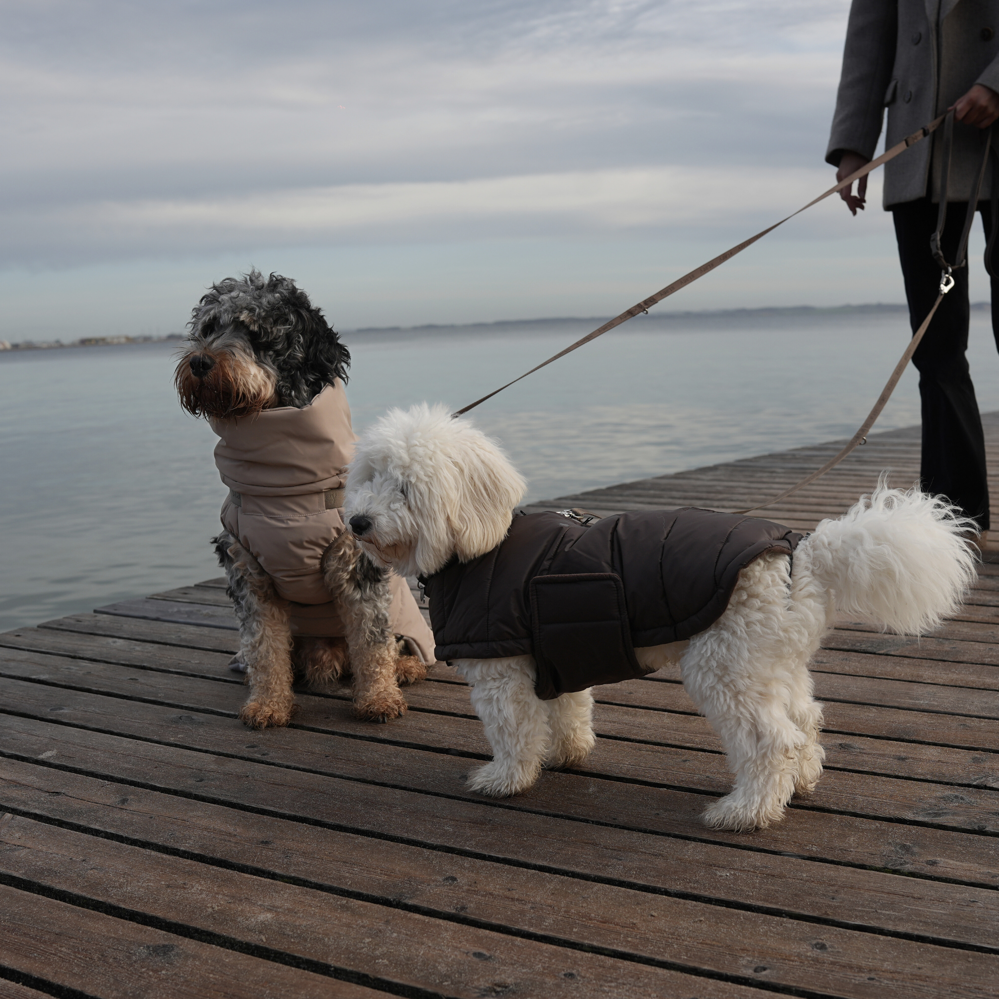 Staey - Wholesale Pet coat – Dog - Nora Dog Coat | Espresso13
