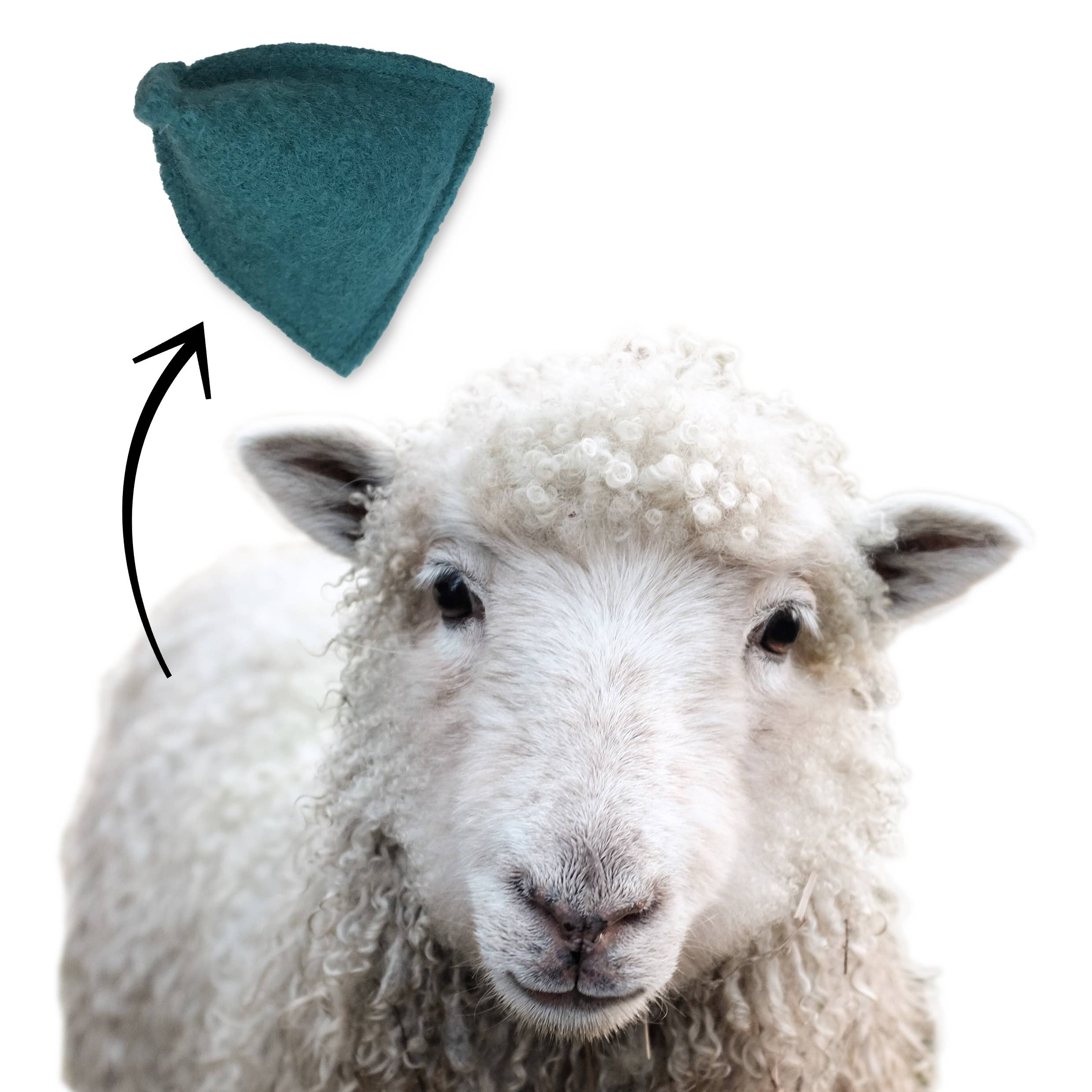 Kater Kasimir - Wholesale Pet Toy - Cat - Cat toy made of virgin wool: worms and mint pillows4