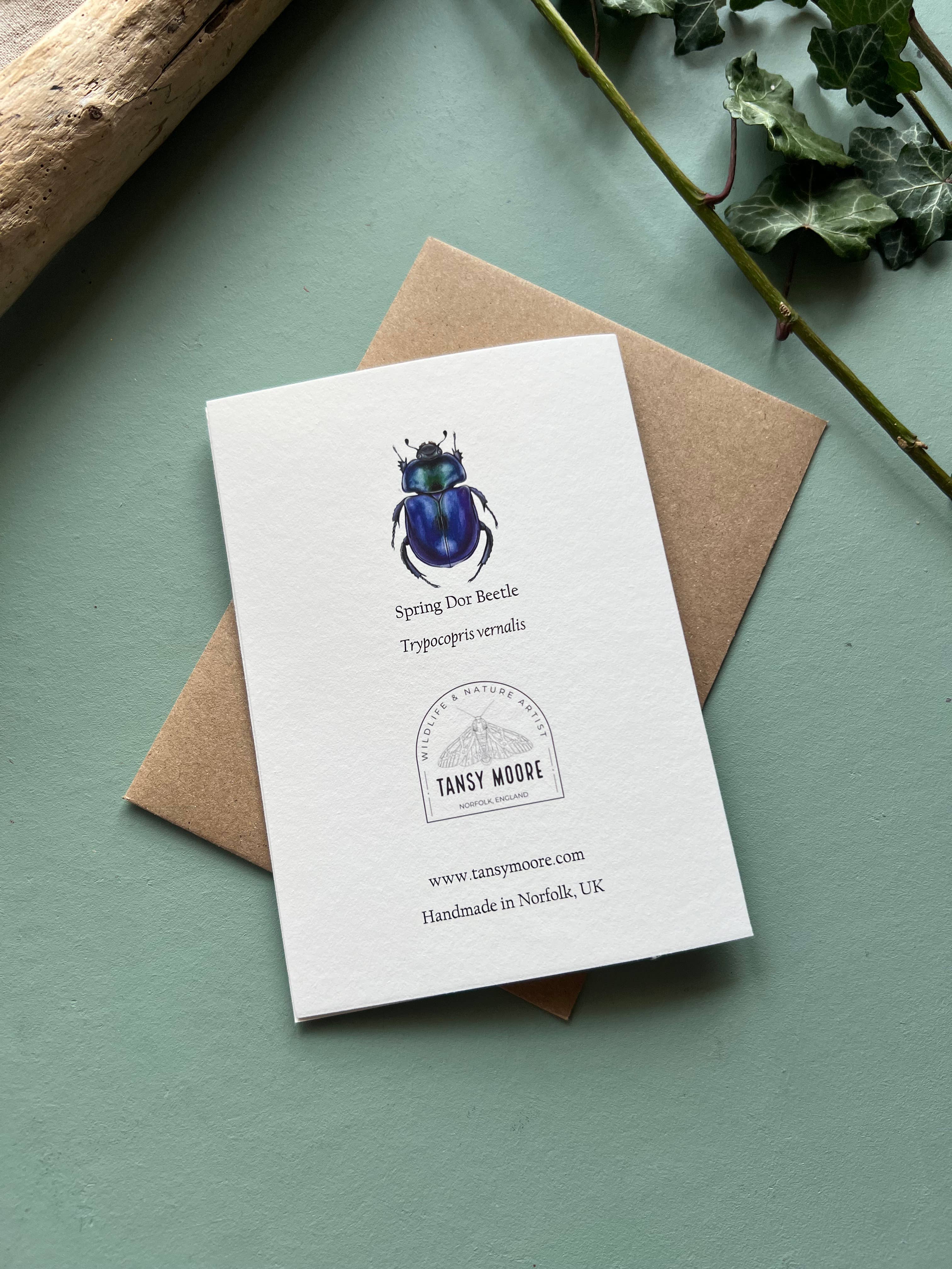 Tansy Moore - Wholesale Everyday Greeting Card - Spring Dor Beetle, Blank Greeting Card 2