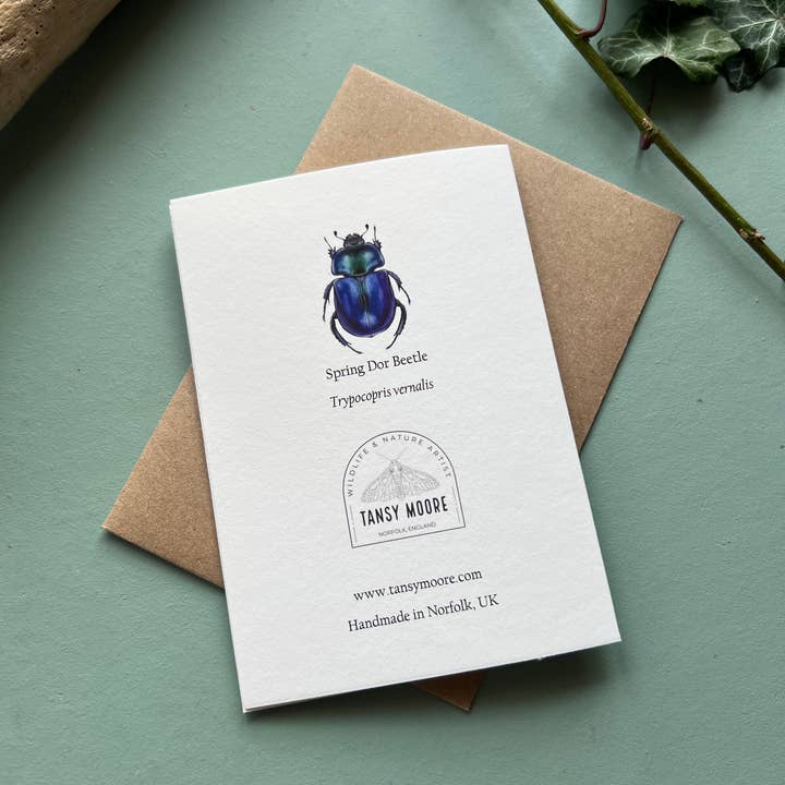 Tansy Moore – wholesale Everyday greeting card – Spring Dor Beetle, Blank Greeting Card 2