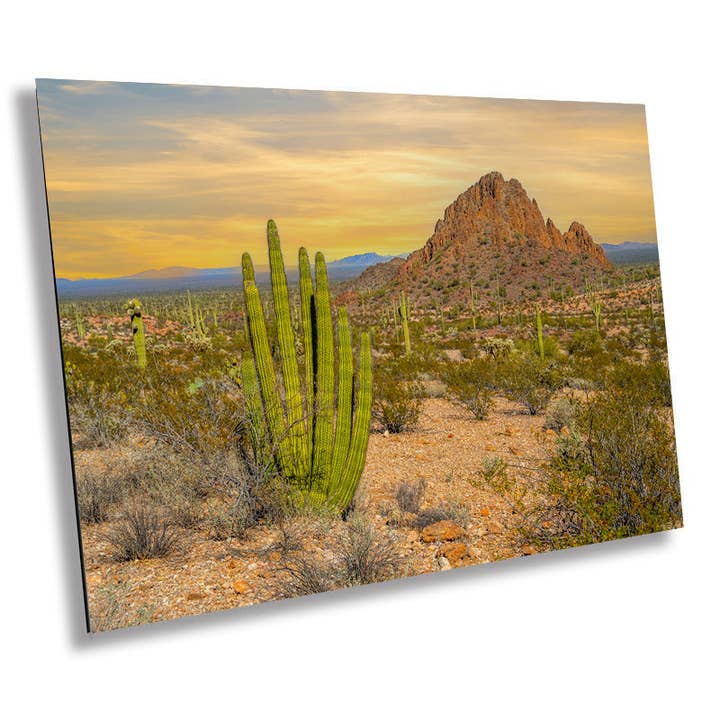 Spires of Resilience: Organ Pipe Cactus National Monument Arizona Photography Wall Art for wholesale by Images By Cheri