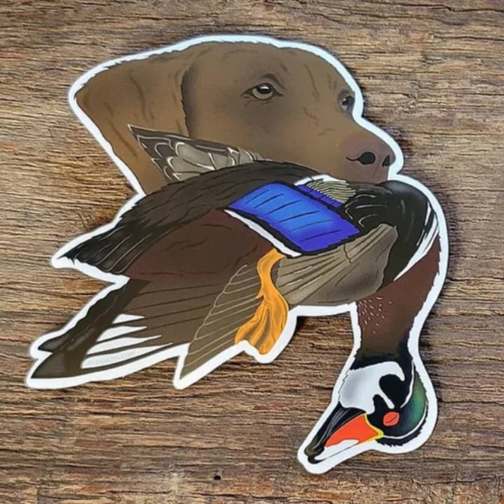 Chesapeake Bay Retriever with Wood Duck Sticker for wholesale by creeknuts.com