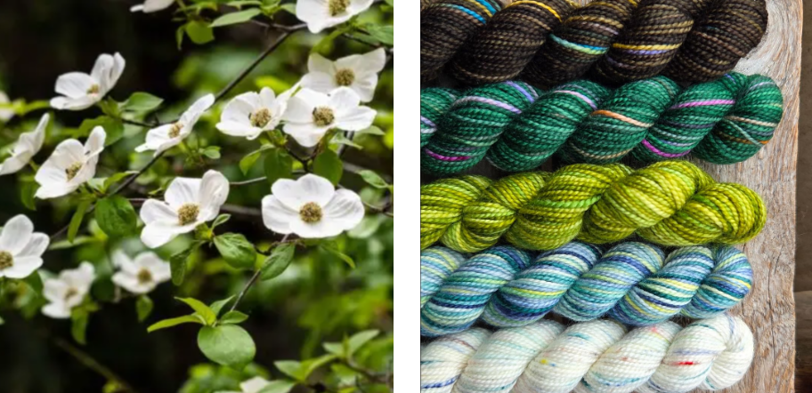 Koigu Wool Designs - Vente Fils à tricoter - Boîtes de Peinture de Fleurs Provinciales (ensembles de mini-écheveaux)17