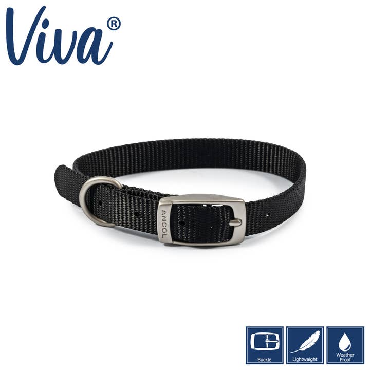 Viva Buckle Collar Black for wholesale by Ancol Pet Products Ltd