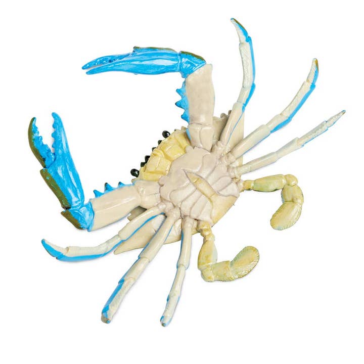 Safari LTD - Canada - Wholesale Figurine Toy - Kids - Blue Crab - 269729