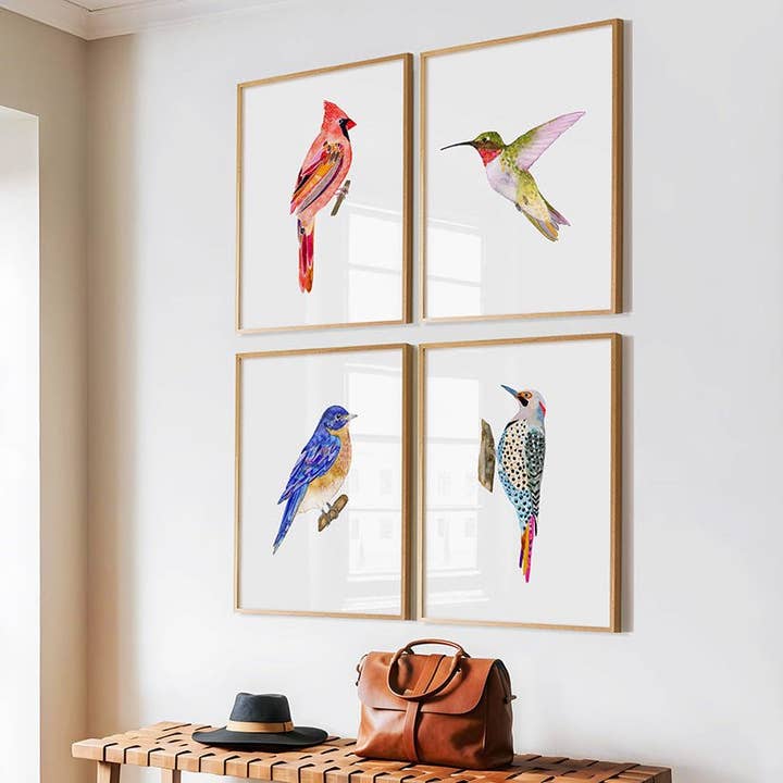 Aves de Nueva Inglaterra - Conjunto de 4 Impresiones Artísticas para venta al por mayor de Snoogs & Wilde Art