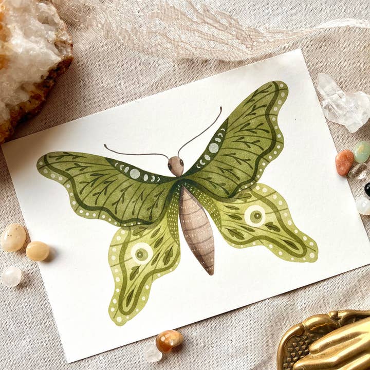 Nikki Dotti - Wholesale Postcard - Ansichtkaart - Groene vlinder