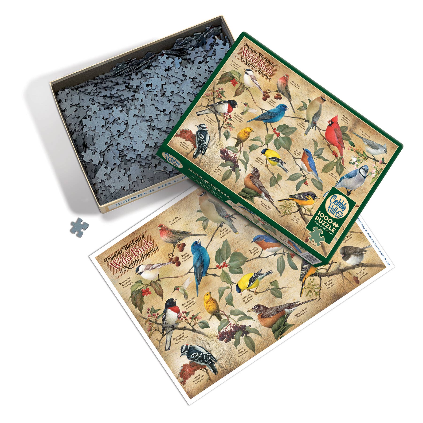 Outset Games and Cobble Hill Puzzles - Vente Puzzle – adulte - Puzzle populaire de 1000 pièces sur les oiseaux sauvages d'Amérique du Nord2
