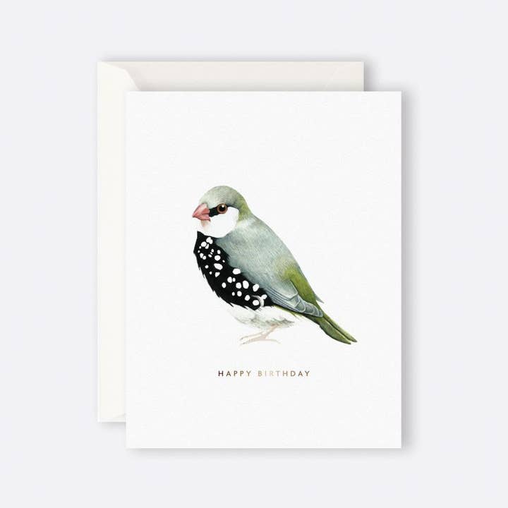 Father Rabbit | HAPPY BIRTHDAY BIRD for wholesale by Father Rabbit Merchant & Lettuce