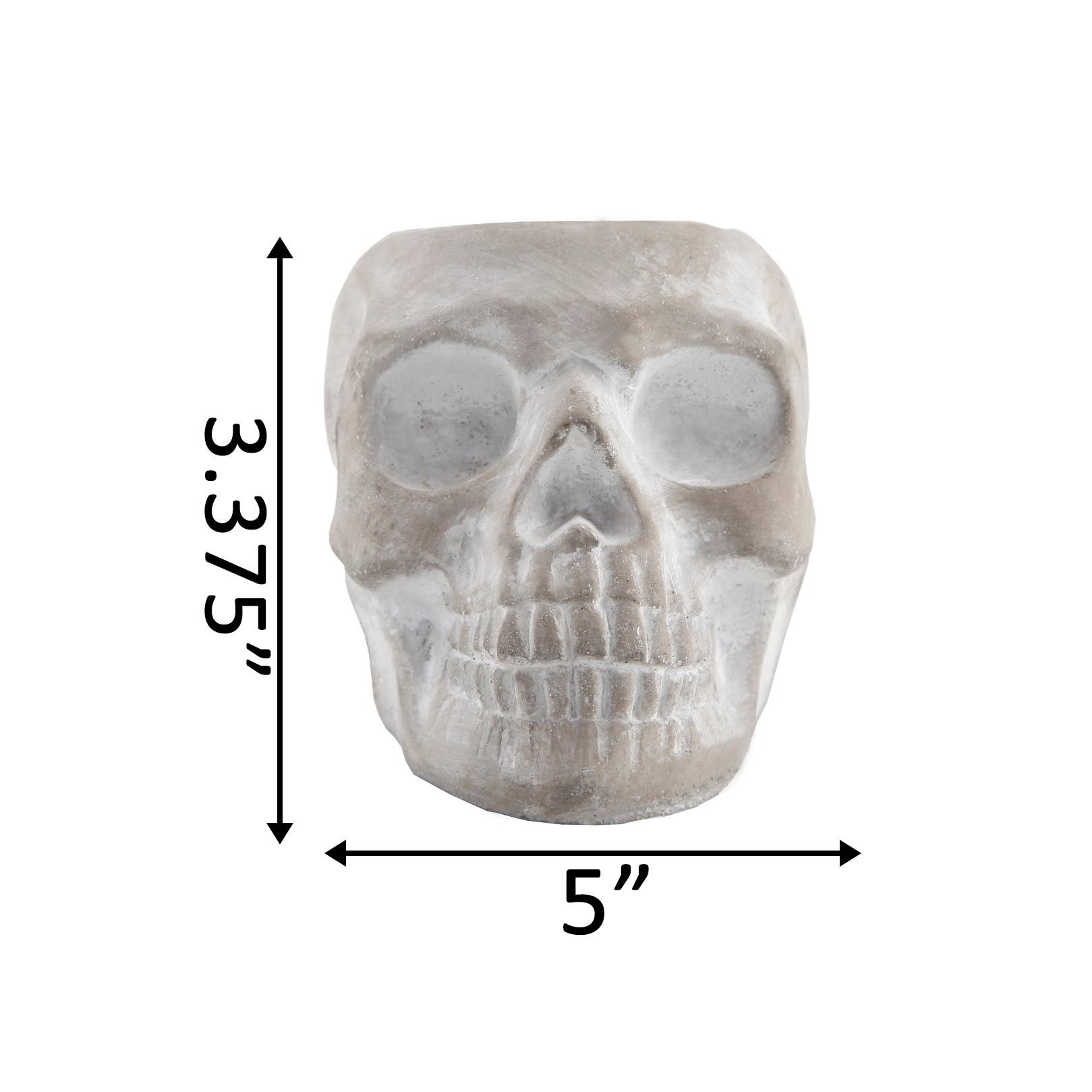 Flora Bunda Inc - Wholesale Plant Pot - Mini Skull Planter1