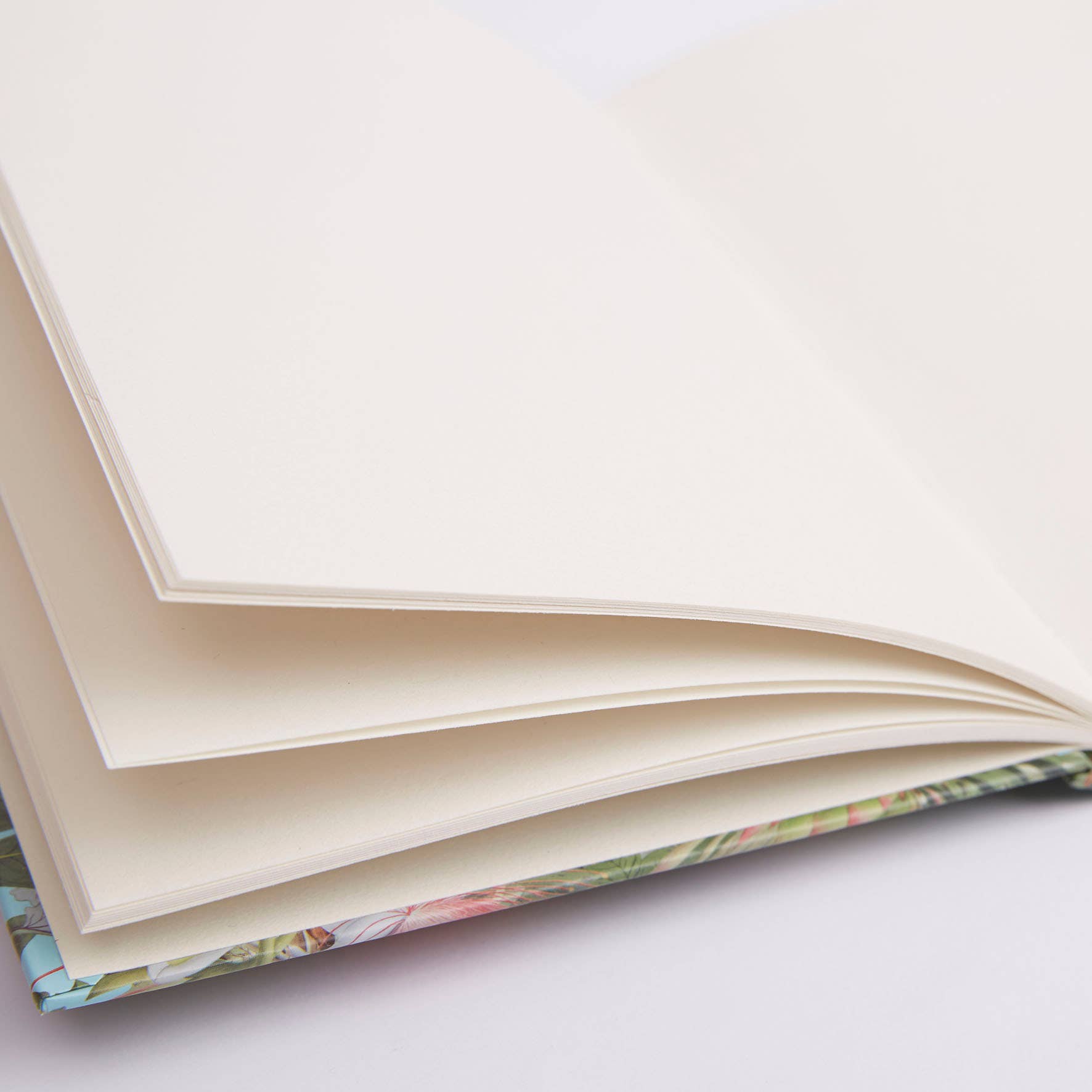 West Design Products UK – wholesale Sketchbook/sketchpad – RHS 160 Page Hardbound Sketchbook (110gsm), A5, Bird Scene10