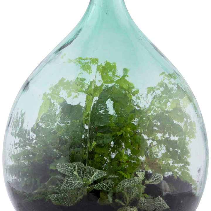 Esschert Design USA - Wholesale Terrarium - Terrarium Bottle w/Tools, 35 L, Glass, Green - Large