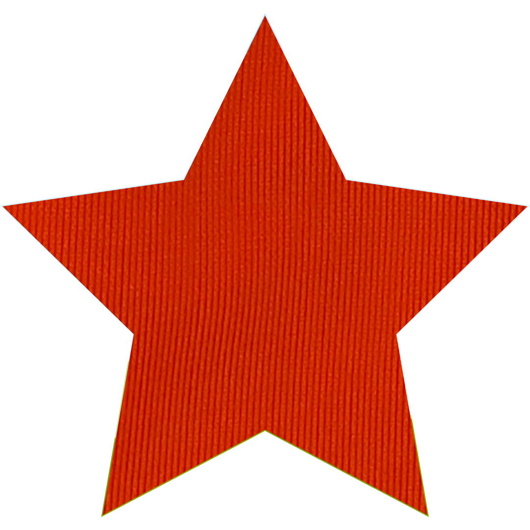 Candyland - Wholesale Coin Purse - Women's - Money Bag5