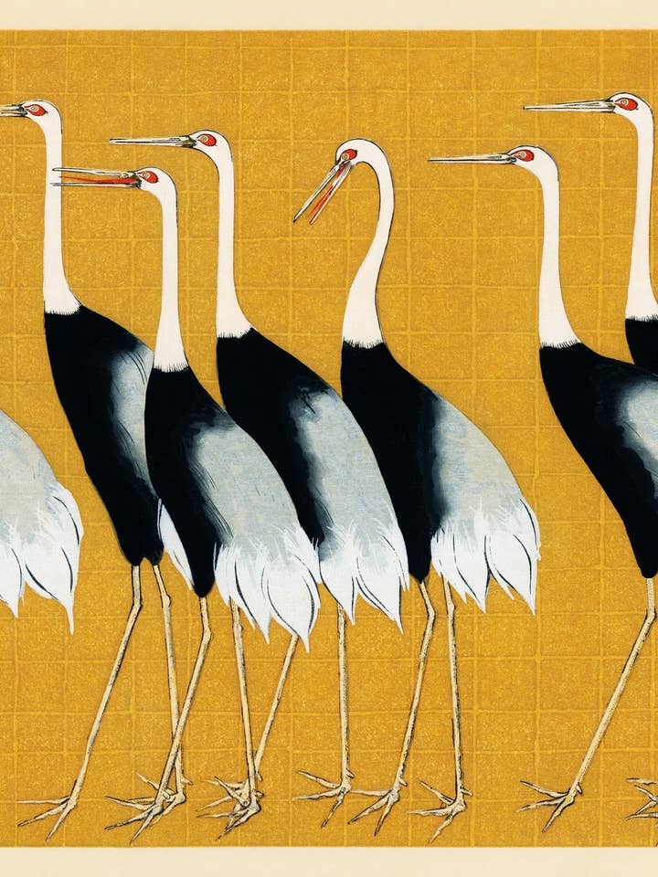 Cranes for wholesale by Animato