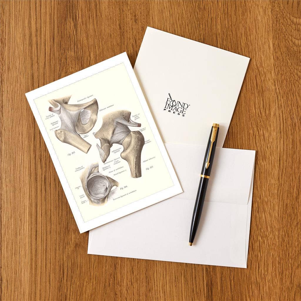 Found Image Press - Vente Assortiments de papeterie/cartes - Carte de vœux AY-138 Os de l'articulation de la hanche1