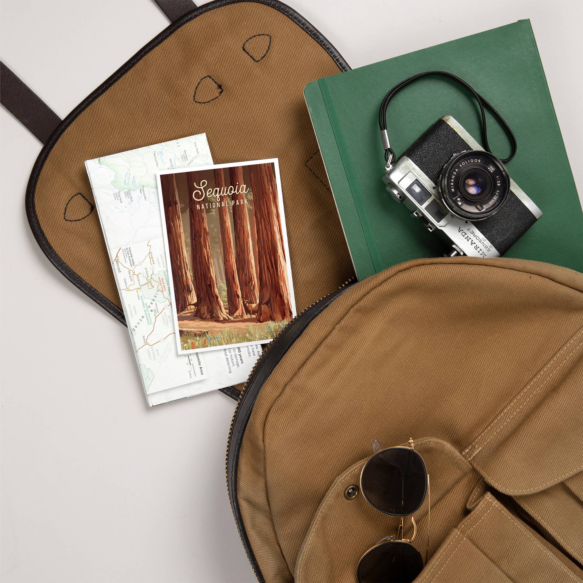 Lantern Press - Vendita all'ingrosso Cartoline - CARTOLINE PREMIUM Sequoia National Park, California5