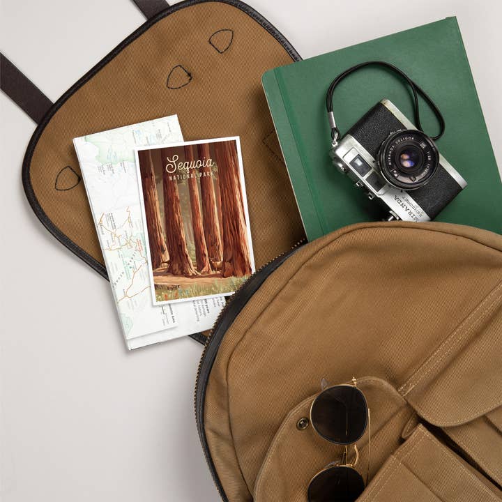 Lantern Press - Wholesale Postcard - PREMIUM POSTCARDS Sequoia National Park, California5