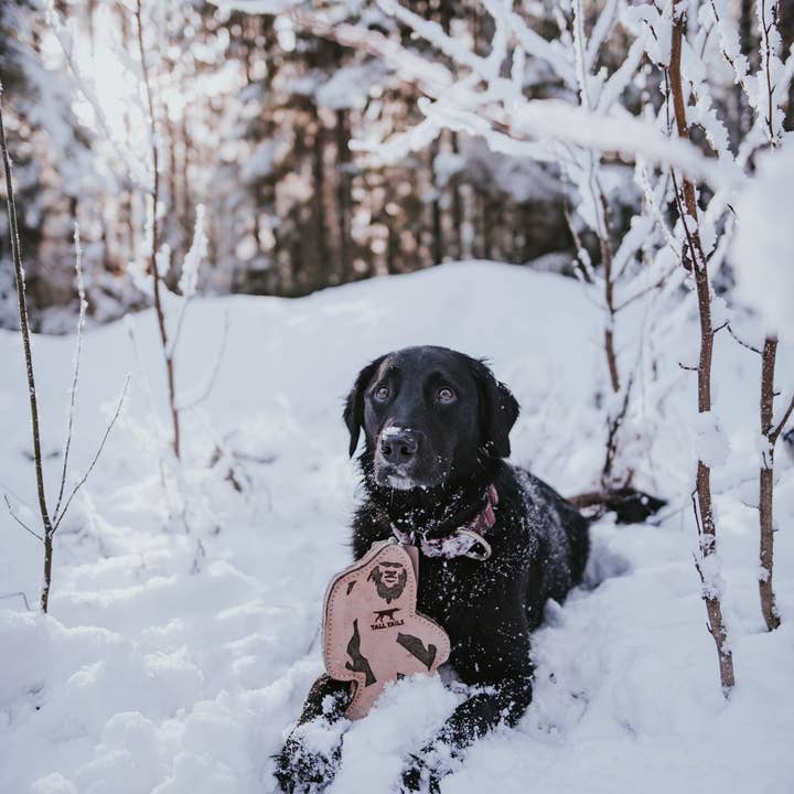 Tall Tails - Wholesale Pet Toy - Dog - Tall Tails Natural Leather & Wool Big Jr. - 9"4