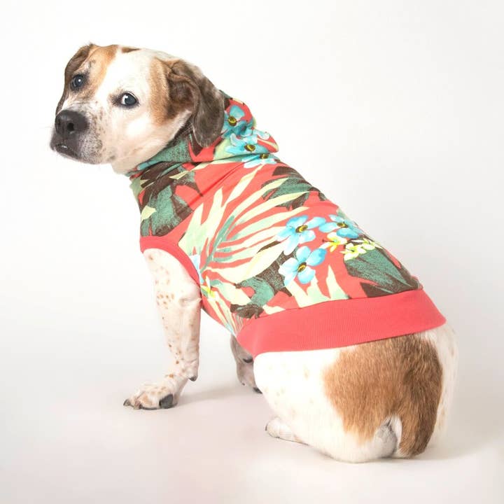 Das Paradies für den Großhandel von The Long Dog Clothing Co.