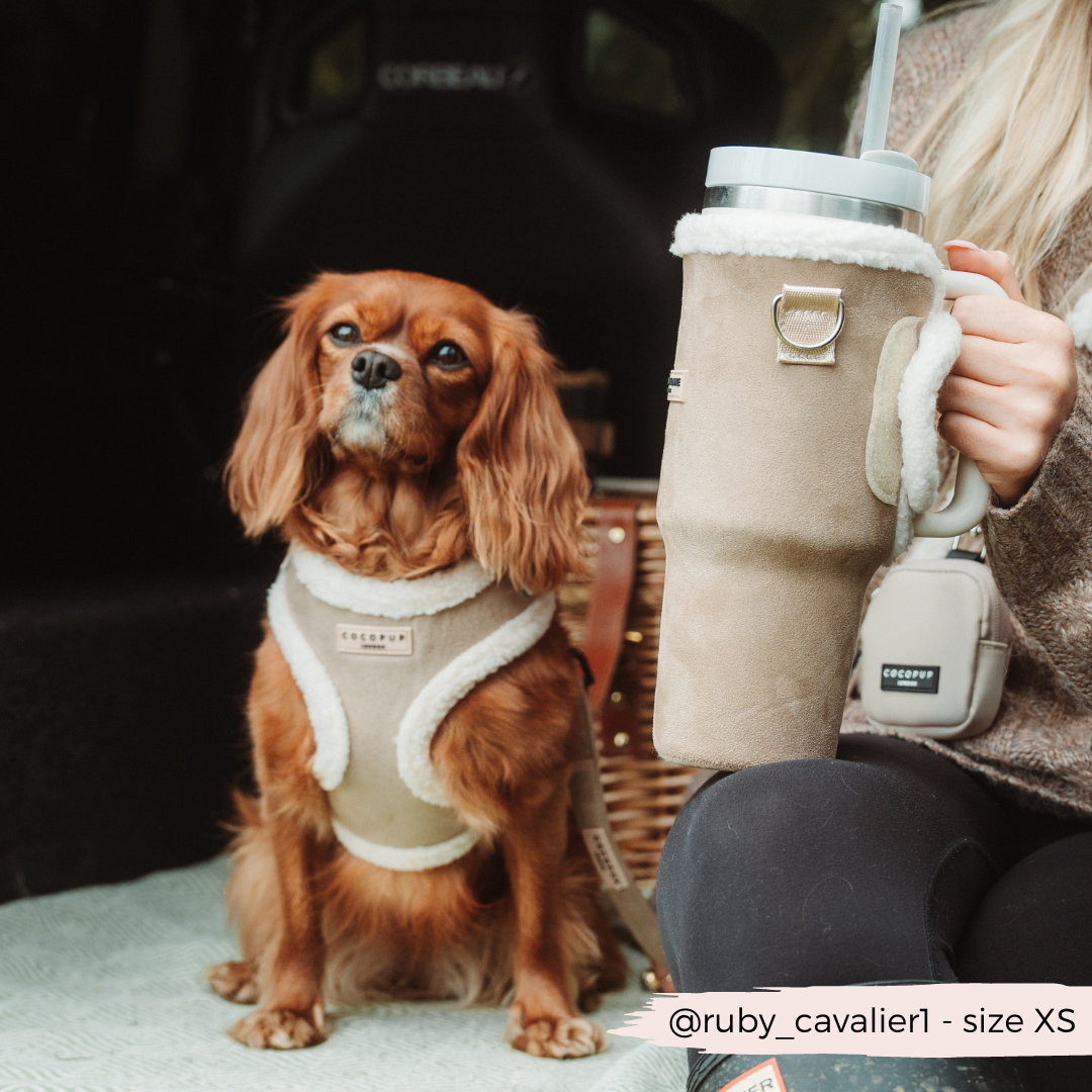 Cocopup London - Wholesale Pet Harness - Dog - Nude Aviator Adjustable Neck Harness16