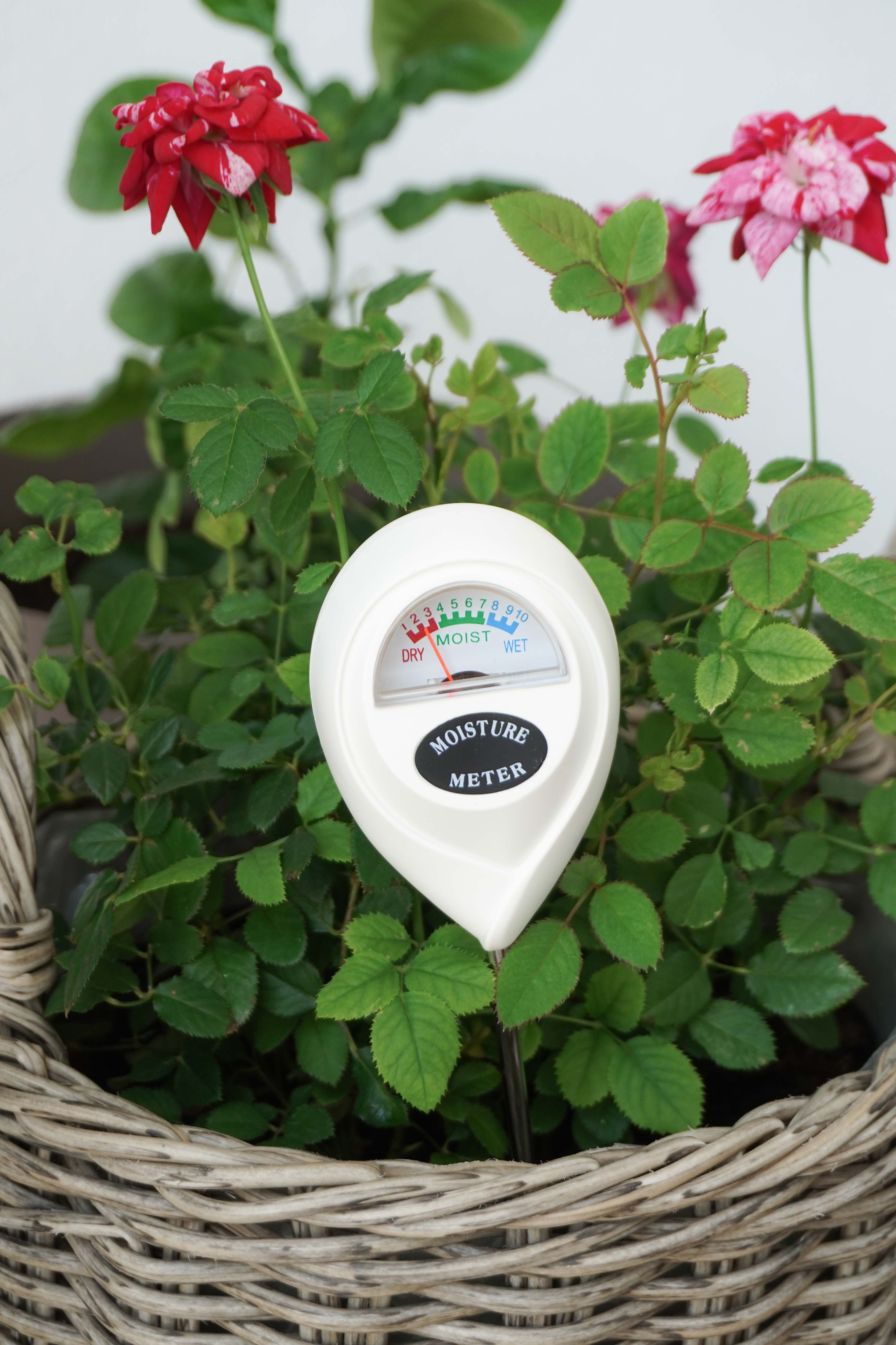 Isabelle Rose - Wholesale Garden Tool - Soil moisture meter Isabelle Rose