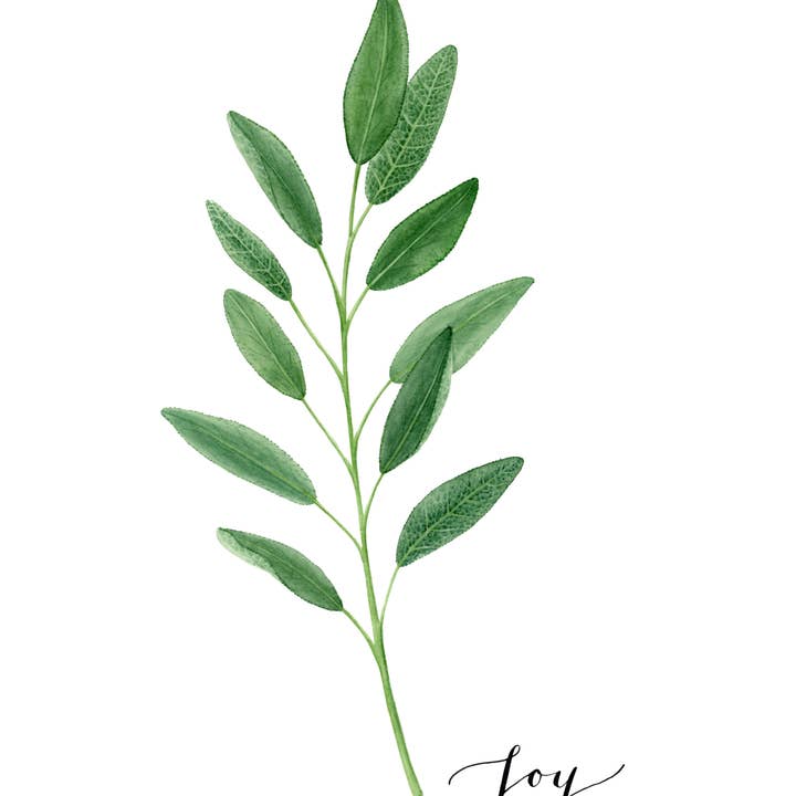 Sage - Gioia per la vendita all'ingrosso da parte di Rabbitbrush Studio