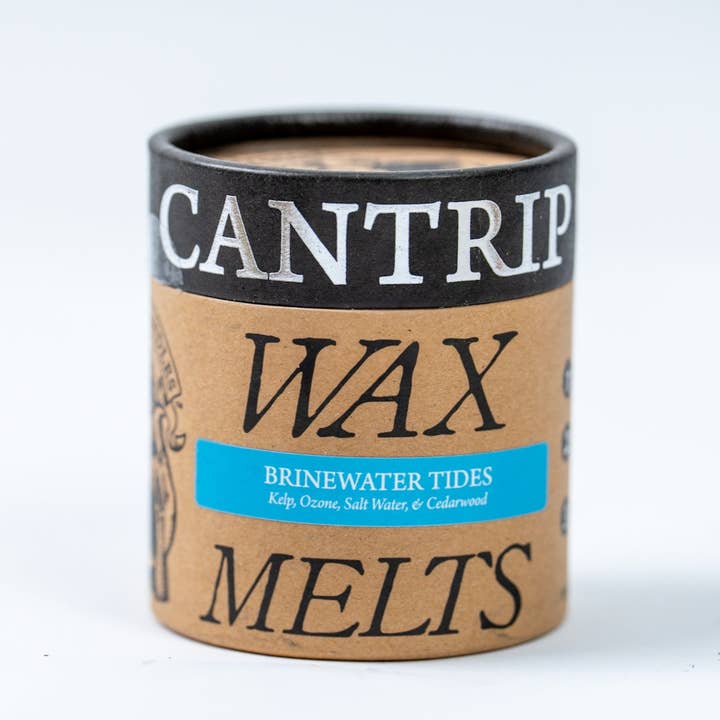 Brinewater Tides 5oz Candle Wax Melts for wholesale by Cantrip Candles
