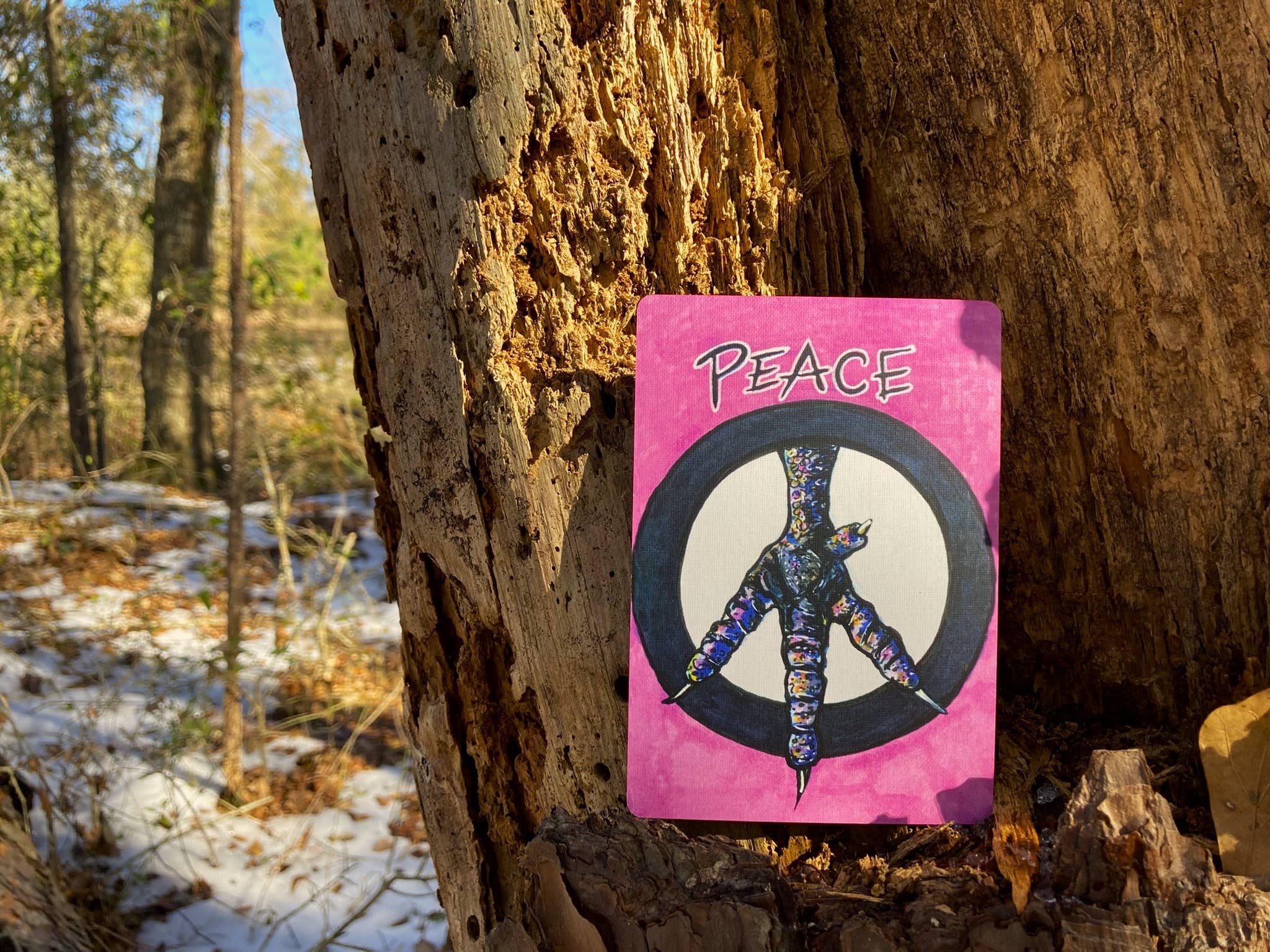 The Empathetic Chicken - Wholesale Tarot Cards - Chicken Transition Oracle Card Deck7