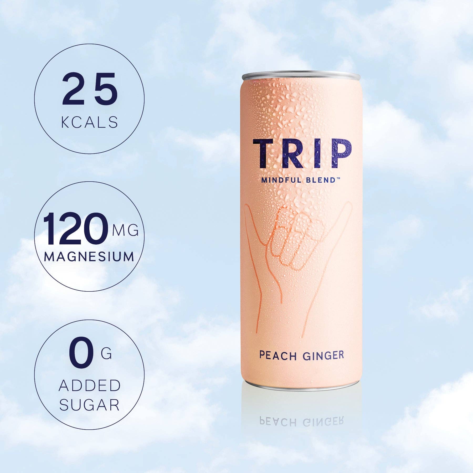 TRIP - Wholesale Non-Alcoholic Aperitif/Mocktail - TRIP Peach Ginger Mindful Blend1