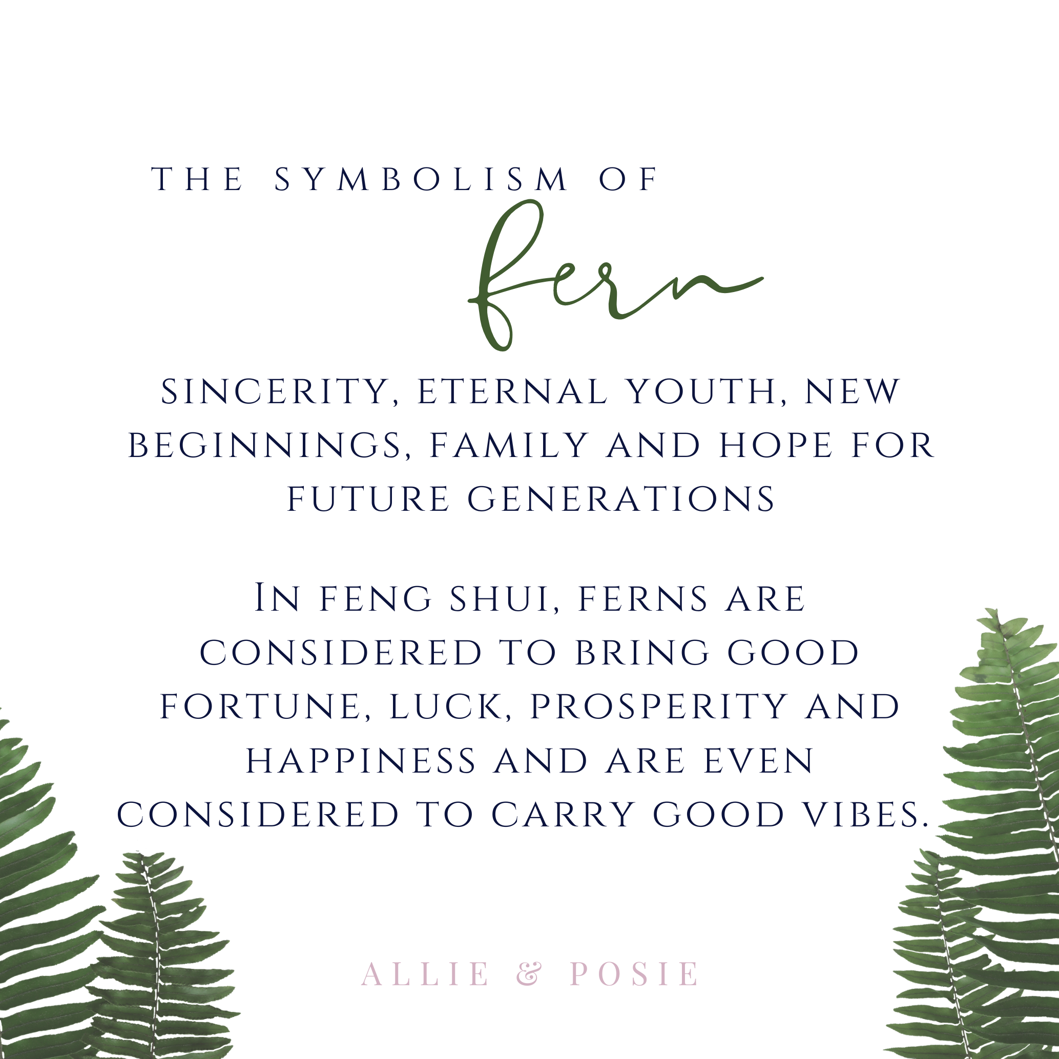 Allie and Posie – wholesale Dangle earrings – Gold drop earrings with real dried pressed fern leaves9