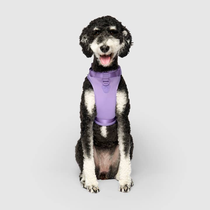 Canada Pooch - Wholesale Pet Harness - Dog - Everything Neoprene Harness- Dog Harness5