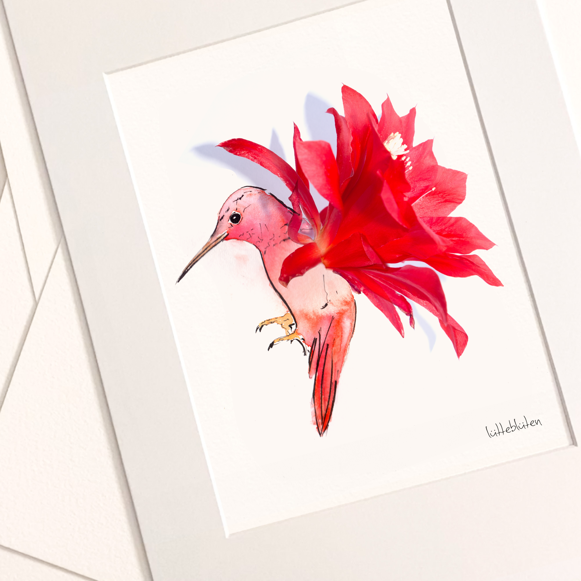 Lütteblüten - Wholesale Art Print - Cactus Hummingbird - Art Print A3 and A42