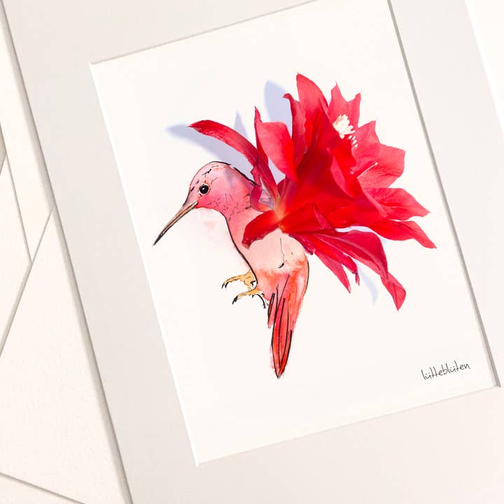 Lütteblüten - Wholesale Art Print - Cactus Hummingbird - Art Print A3 and A42