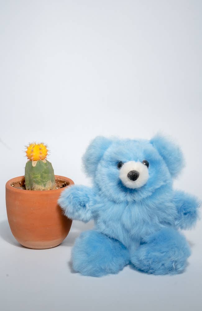 WUAMAN - Alpaca – wholesale Fyllda/plyschleksaker - Barn och baby – Teddybjörn 6" | Alpacka Gosedjur | Handgjord5