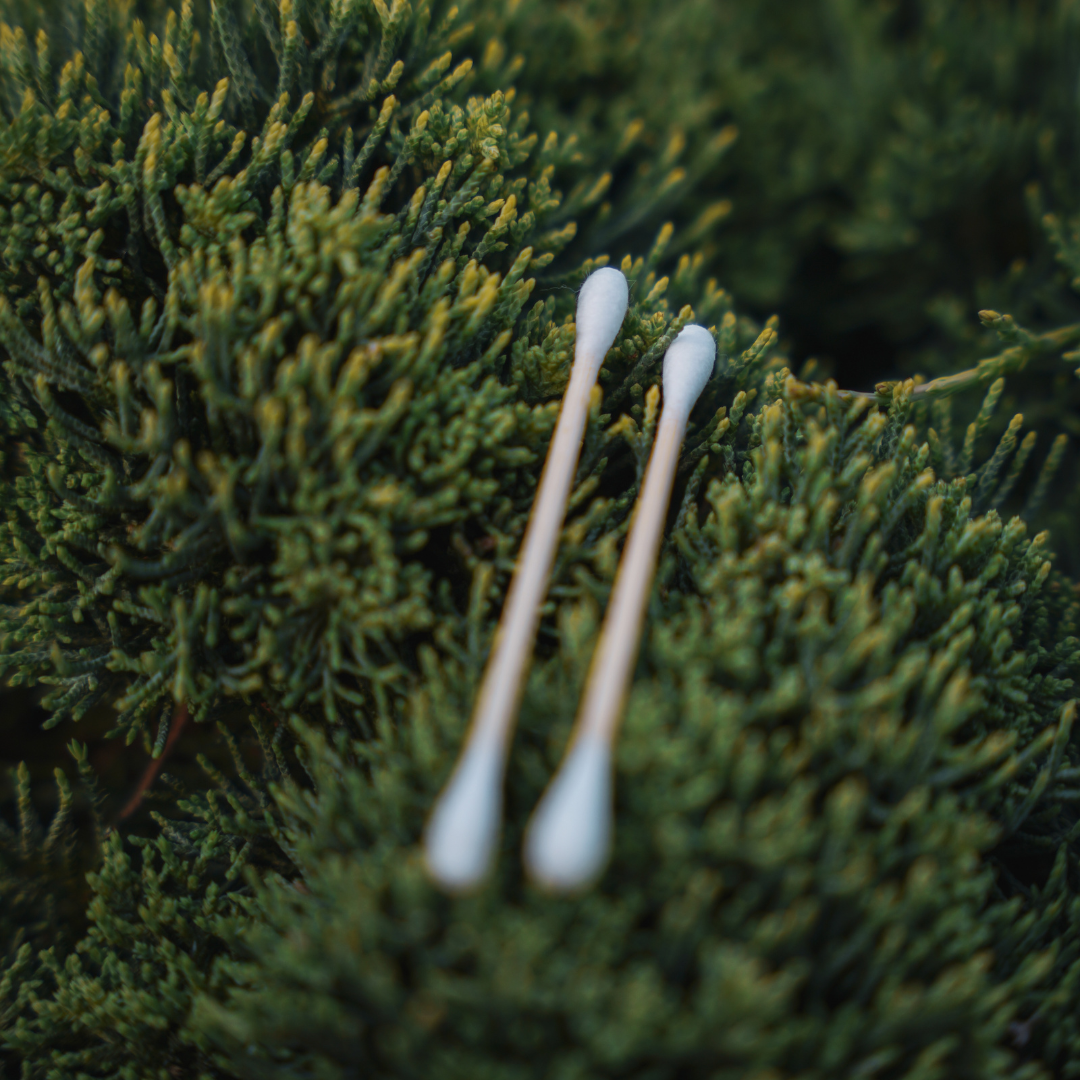 Pandoo - Wholesale Cotton Swab/Q-Tip - Bamboo cotton swabs with organic cotton | 200 pieces3