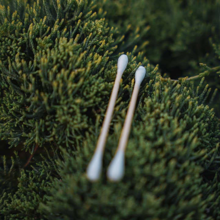 Pandoo - Wholesale Cotton Swab/Q-Tip - Bamboo cotton swabs with organic cotton | 200 pieces3