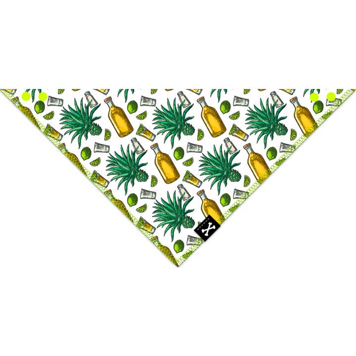 Tequila Terrier Dog Bandana for wholesale by Bad Service Dogs