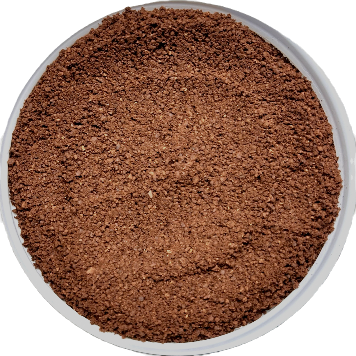 Bodéga Bean Co. - Wholesale Coffee Beans - Costa Rican Tarrazu - Roasted Coffee2