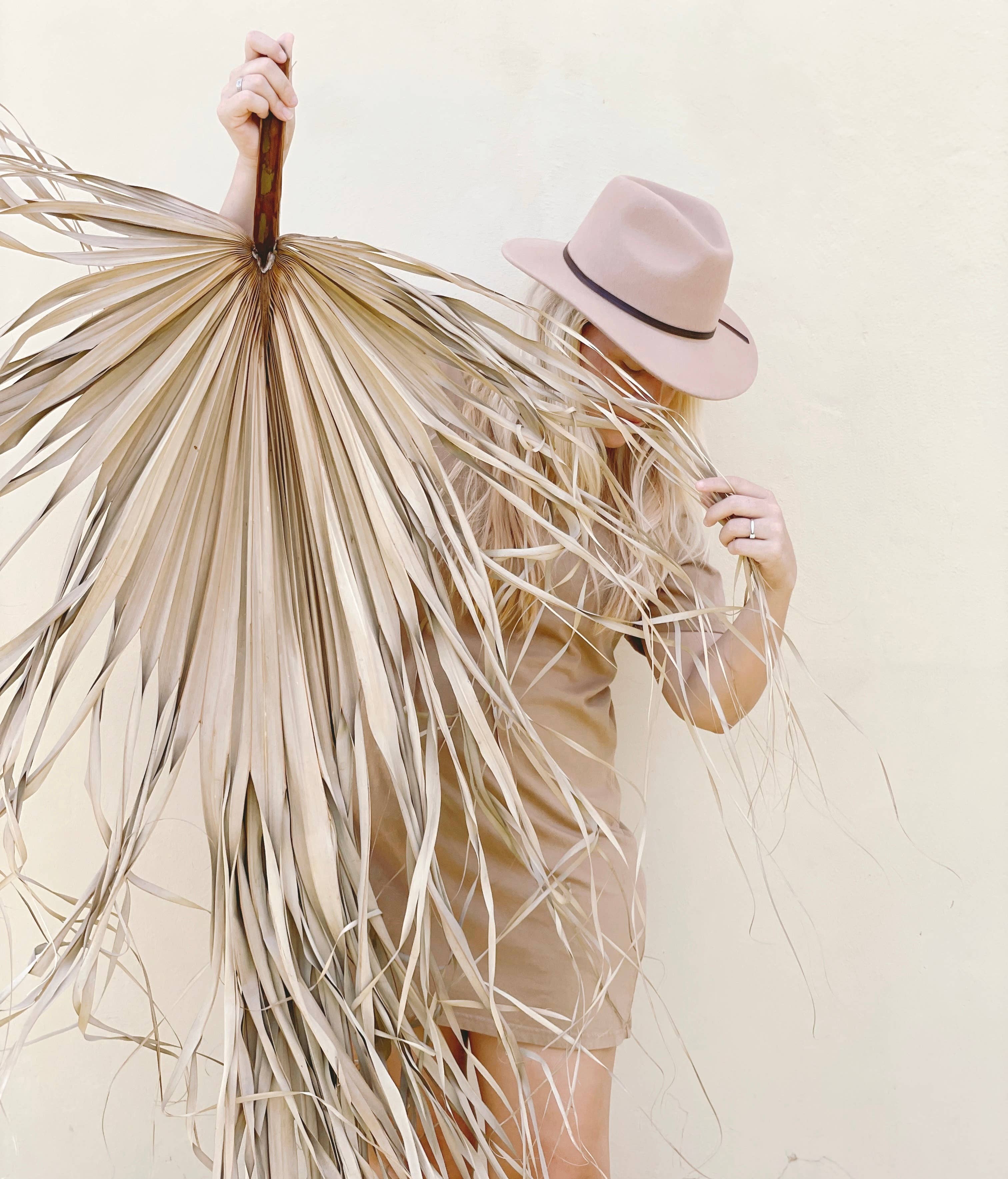 The Blooming Palm - Wholesale Retailer sample – Home decor - 3ft. JUMBO Sun-Dried Wild Untouched Palm Leaf Wispy Frond