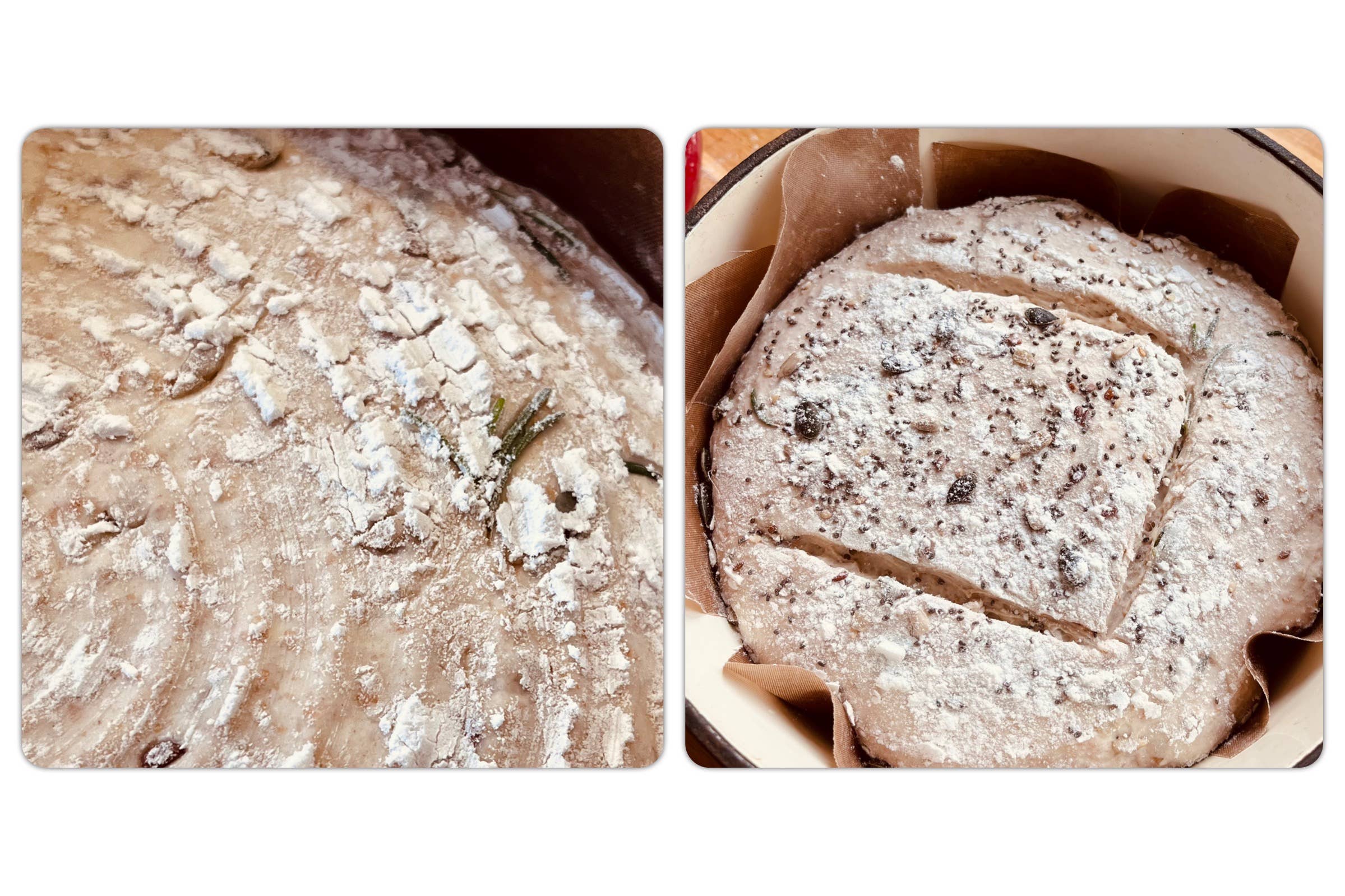 Sourdough by the Sea - Wholesale Bread Mix - British Sourdough Starter White 25 yr old3