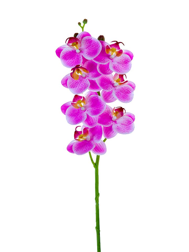 American Best - Wholesale Artificial Flowers - 24" REAL TOUCH PHALAENOPSIS1