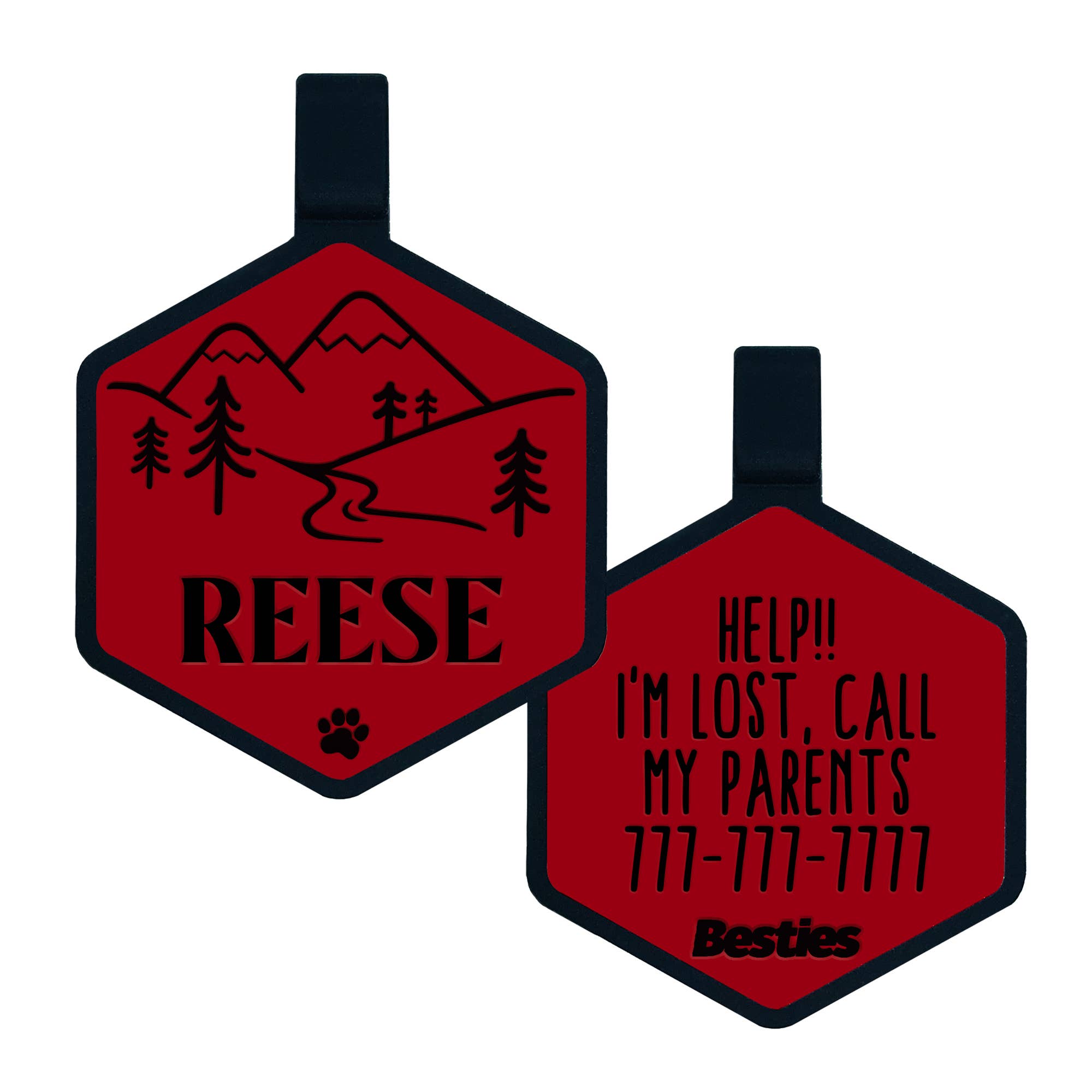 Besties Pets - Vendita all'ingrosso Etichetta per collare - Cani - Targhetta per cane in silicone con tema avventura in montagna16