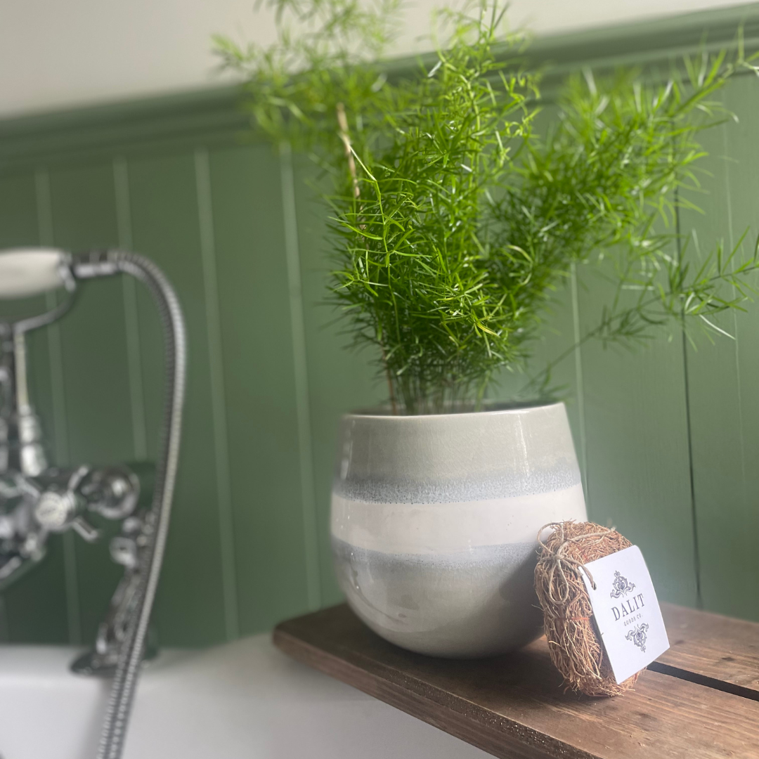 Dalit Goods Co - Venta al por mayor Pufs/esponjas de baño - Exfoliante natural de raíz de vetiver para baño / Loofer1