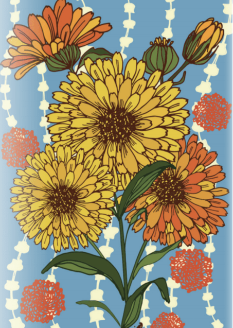 Sow True Seed - Wholesale Plant Seeds - Calendula Seeds - Pacific Beauty2