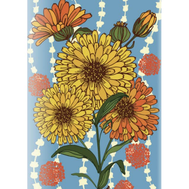 Sow True Seed - Wholesale Plant Seeds - Calendula Seeds - Pacific Beauty2