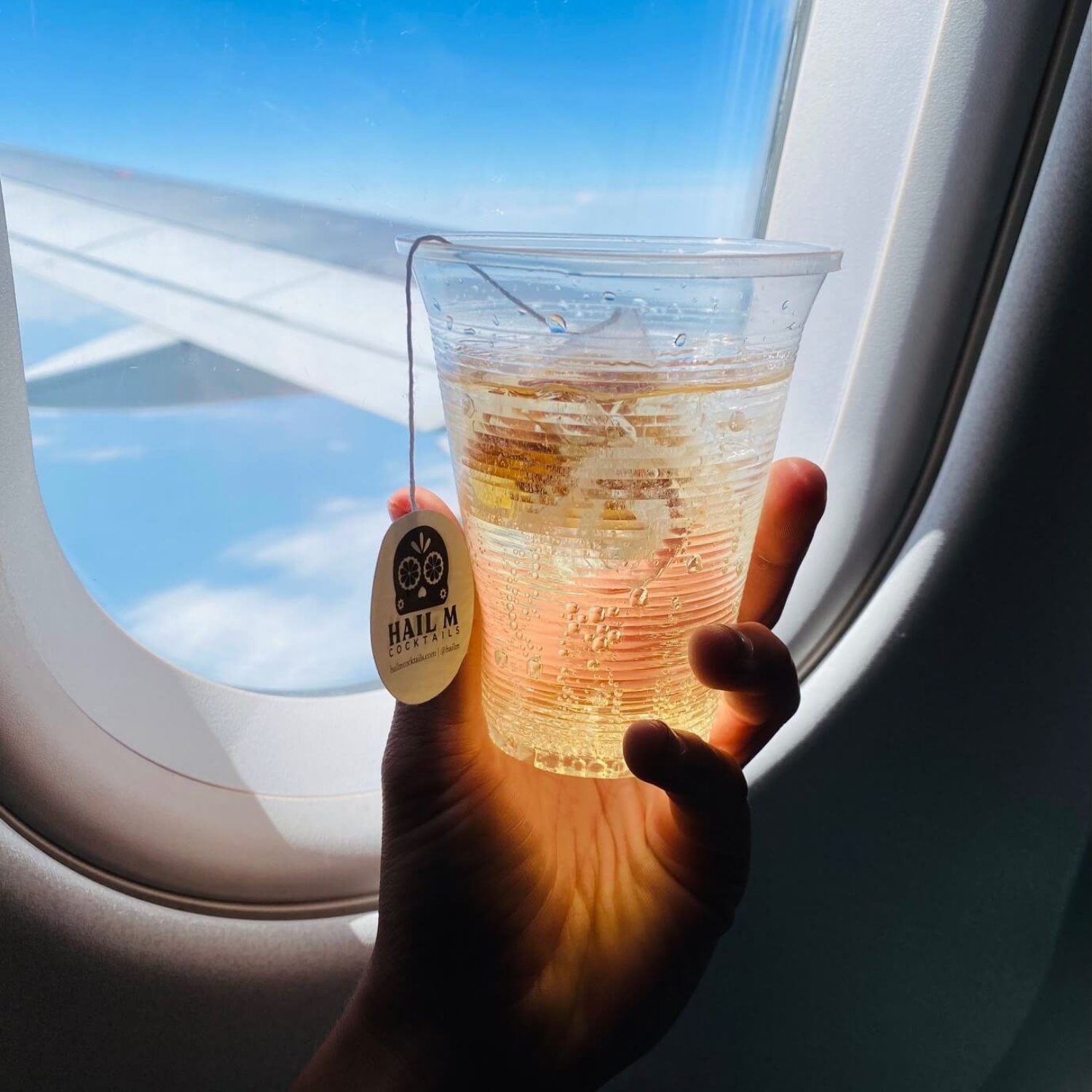 Hail M - Wholesale Cocktail Mix/Syrup - Old Fashioned Cocktail Infusion Tea Bag - To Go Travel Mixer5