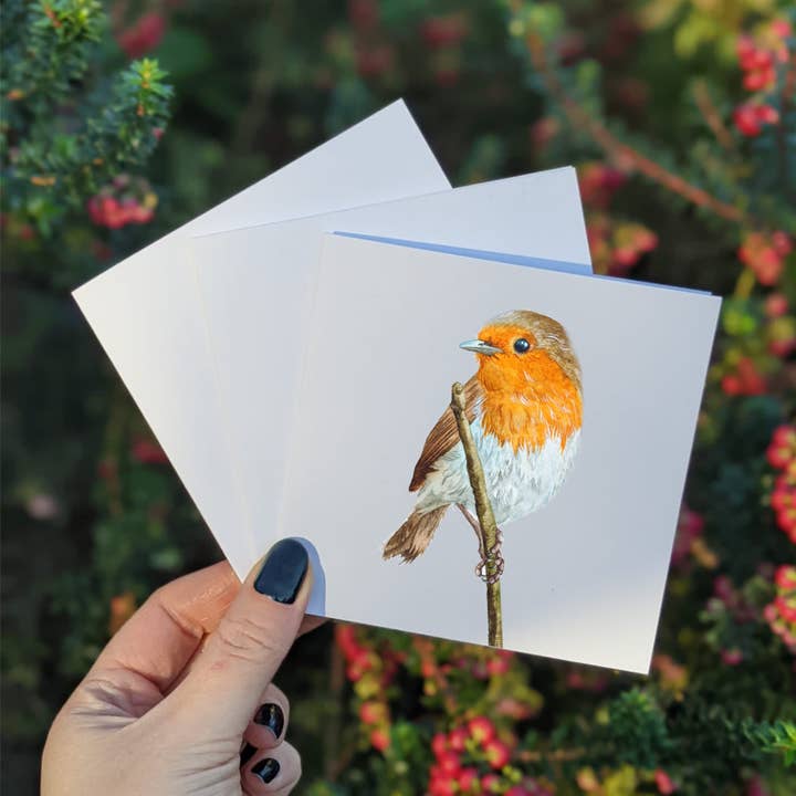 Multipack Robin Mini Greeting Cards, Four 4x4 Inch cards for wholesale by Emily Mei