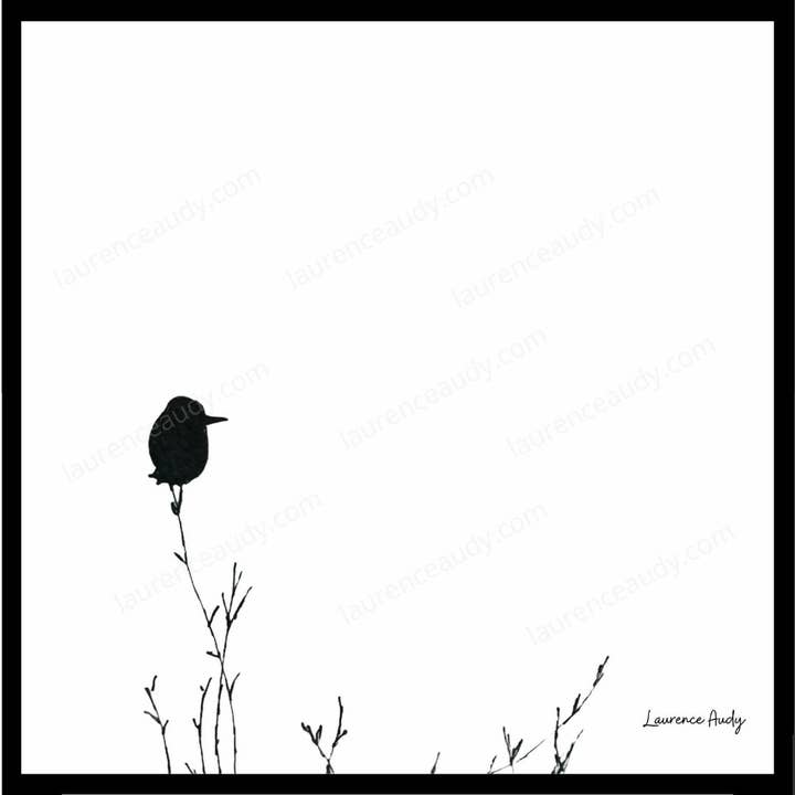 B&B-BIRDS-02 QUADRATO 20x20 per la vendita all'ingrosso da parte di LAURENCE AUDY CROQUIS