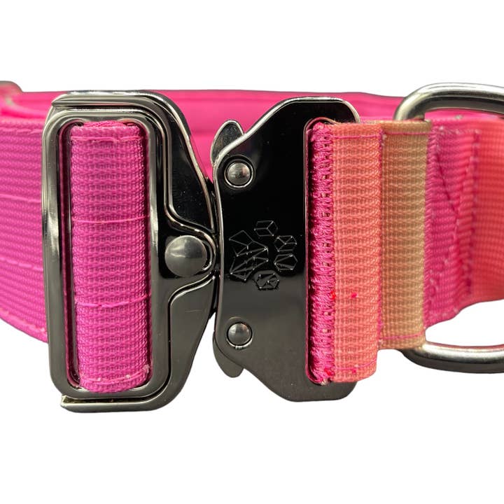 Koira - Wholesale Pet Collar - Dog - Tactical Dog Collar Pink to Purple Gradient (2"/ 5cm)